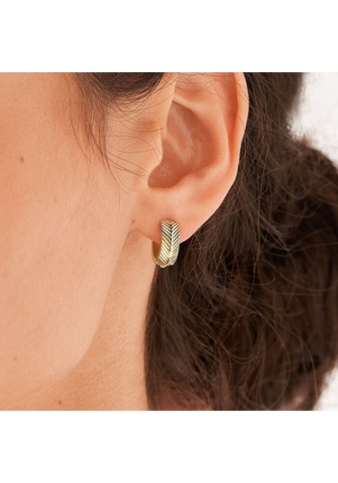 Fossil Jf04116-710 Kadın Küpe Altın