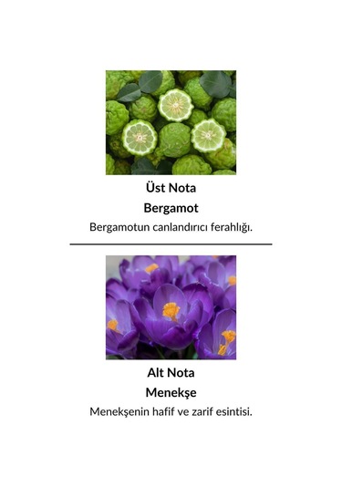 Alescia St-51 Kadın Parfüm EDP 50 ML