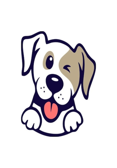 Vebox Easy Pet Wipes Islak Kova Mendil 300 Adet
