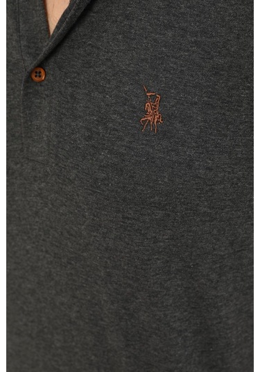 T8586 Dewberry Erkek Polo Yaka T-shırt-antrasit Antrasit