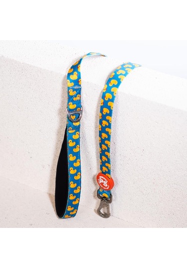 Pawstar Ducks Köpek Gezdirme Kayışı Çok Renkli 2 x 120 CM Çok Renkli