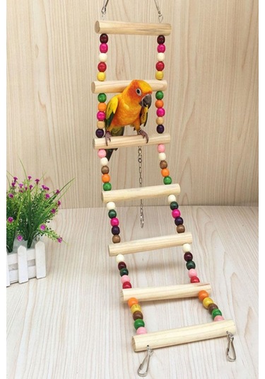 Muhabbet Kuşu Için Çok Renkli Ahşap Salıncak Köprüsü Merdiven