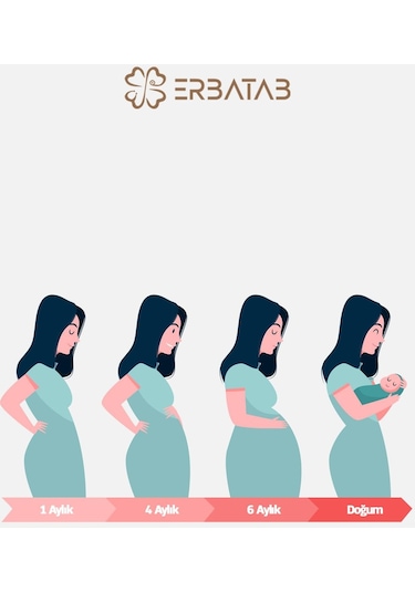 Erbatab Avantaj Paketi 1 (Magnezyum, D3K2, B12 - B9, Omega, Demir)