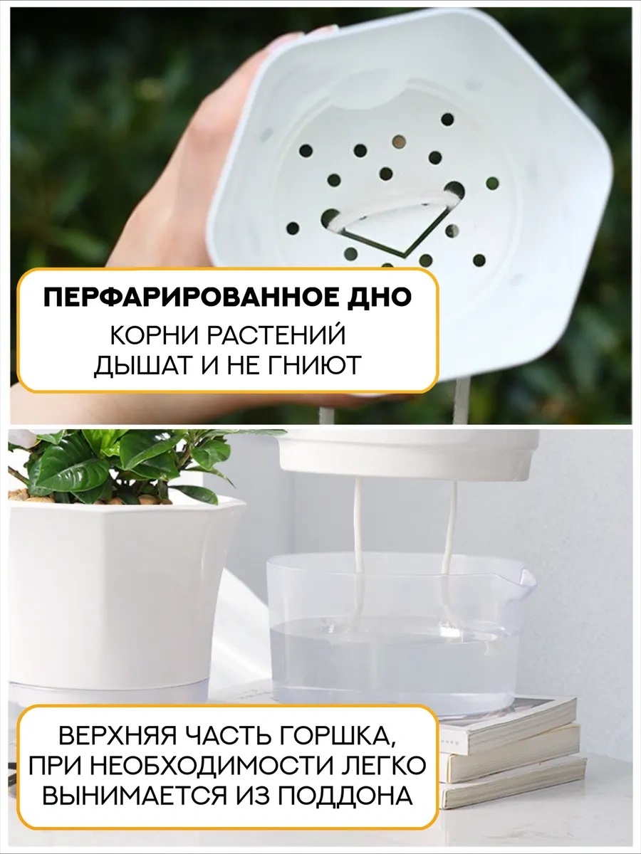 Atari Ev Bitkileri İçin Fitilli Otomatik Sulamalı Saksılar 431804619