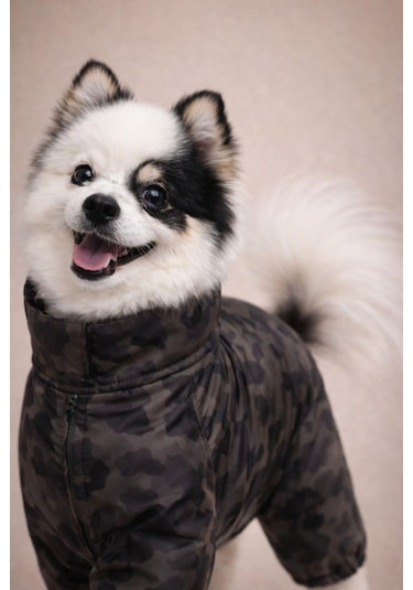 Alphadog Icon Polarlı Küçük Irk Köpek Yağmurluk Tulumu
