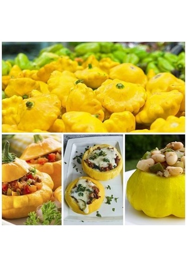 Sarı İstiridye Kabak Tohumu