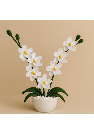 Orkide El Yapımı Örgü Hediye