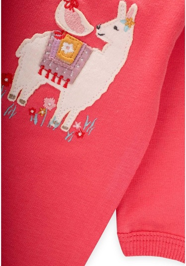 Tulum 0-3 Yaş Mercan Mercan