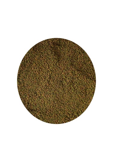 Spirulina Garlic 250ml Kutu Granül Balık Yemi