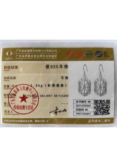 925 Ayar Gümüş Geometrik Damla Küpe Moda Takı