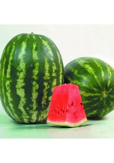 Karpuz Tohumu Crimson Sweet Karpuz Tohumu 15 Tohum + Tohum