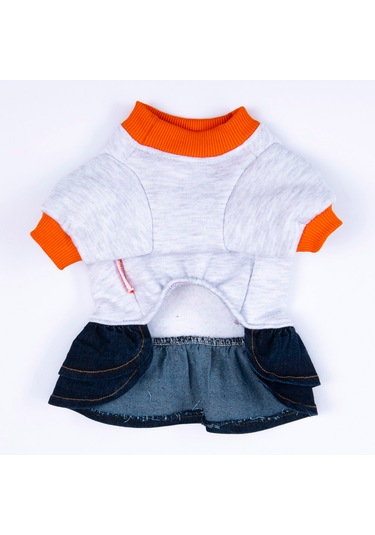 Pawstar Gri Santa Rosa Kedi Köpek Elbisesi