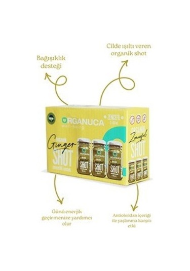 Organik Zencefil Shot 3'lü Paket 60 G