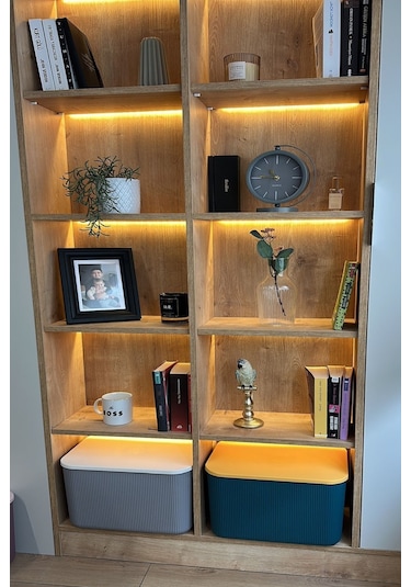 Bayev 2 Adet 21 Lt Storage 1 Adet Yeşil Ve 1 Adet Gri Çok Amaçlı Dolap Içi Düzenleyici Kutu Mavi