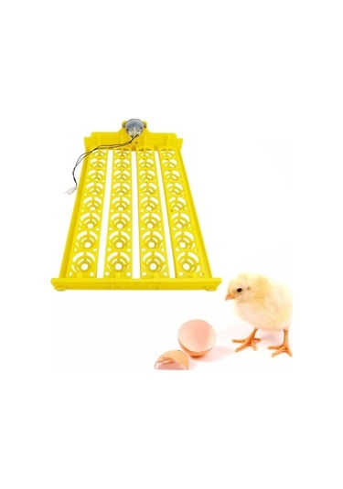 Pazly Yumurta Yumurta Turner Tavuk Suntek Otomatik Makinesi Kuluçka Fr