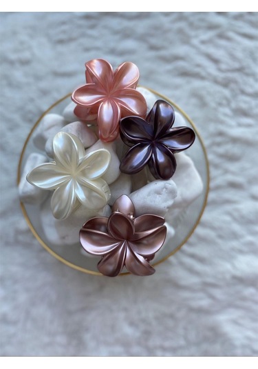 4'lü Set Pastel Mat Renk Lotus Toka Çok Renkli