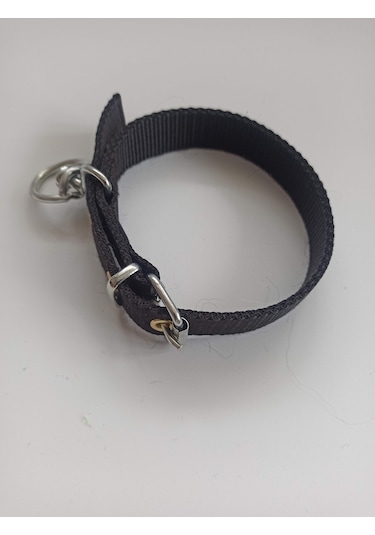 Kozaklı Küçük Irk Köpek Tasması Siyah 50 x 2.5 CM Siyah