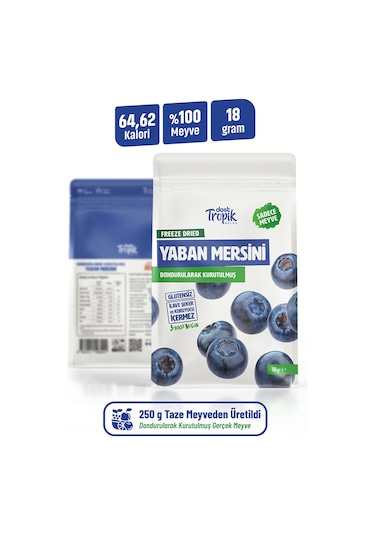 Dondurularak Kurutulmuş Yaban Mersini 18 G Freeze Dried Meyve Cipsi Çıtır Meyve Kurusu 12 Adet