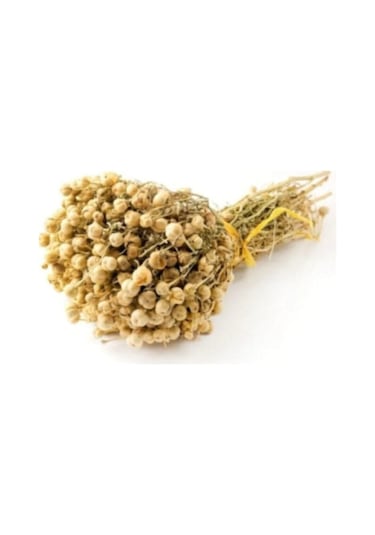 3 Demet Yeni Mahsül Mahsul Kokulu Egzotik Dağ Tütsü Organik Demet Tütsü