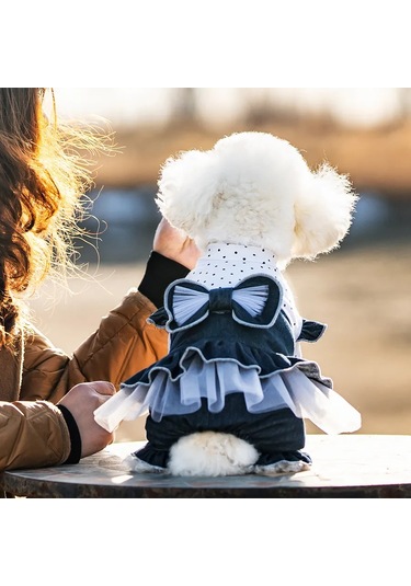 Best Golden Monkey Köpekler İçin Tulum 450280287