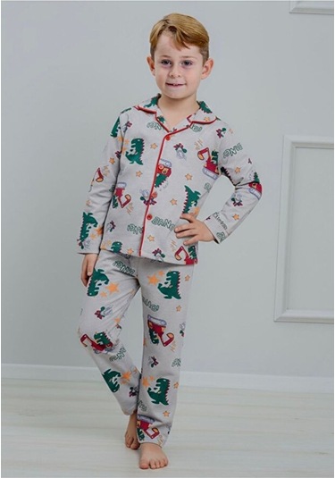 Erkek Çocuk Dinazor Desenli Düğmeli Alt Üst Pijama Takımı Gri