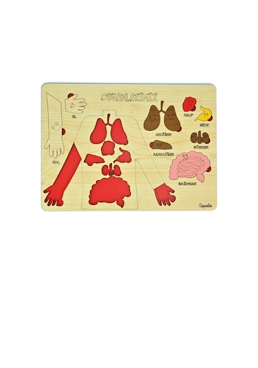 Ahşap Organlarımız Bultak Puzzle Eğitici Oyuncak