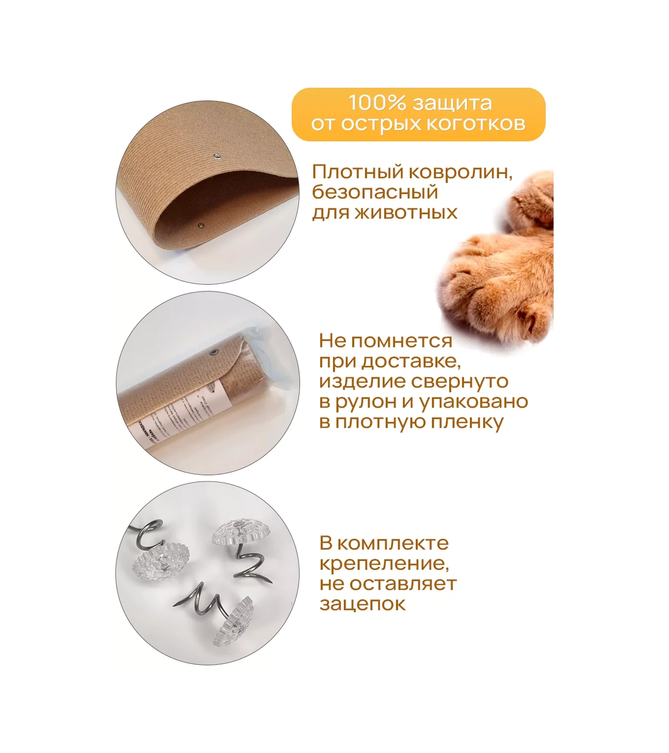 Aseliadia Kedi Kınağı - 80x50 Cm Kanepe Tipi 206357375