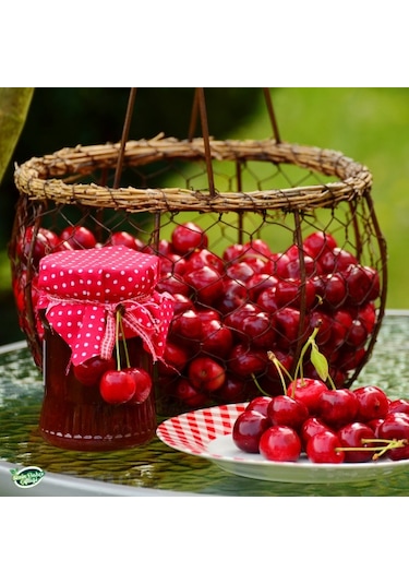 Sizin Bahçe Çiftliği Vişne Reçeli 360 G