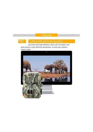 Pazly Açık Takip Kamerası Ip66 Su Geçirmez Yaban Hayatı Avcılık Çok Renkli Gece Görüşlü Çok Renkli