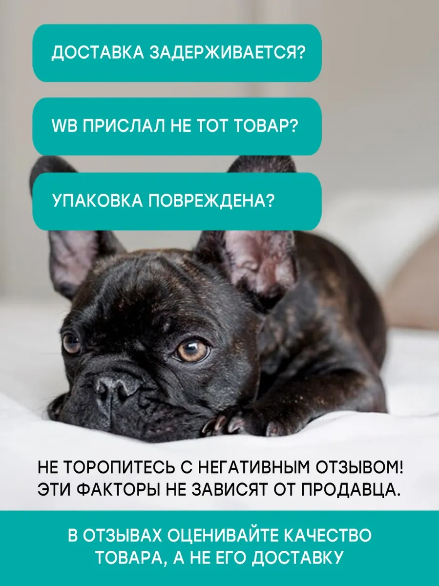 Fan Pets Kedi Ve Küçük Irk Köpekler İçin Metal Çift Bölmeli Mama Kabı 111870654