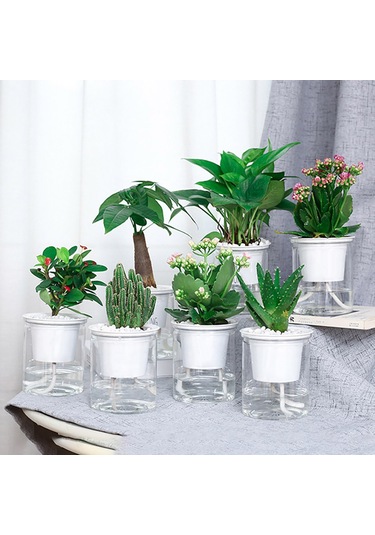 Lebihmurah 2099 Helloworld Saksı Vazo Dekoratif Görünür Su Seviyesi Bitki Tutucu