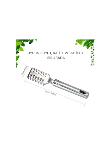 MSO Paslanmaz Çelik Balık Pulu Temizleme Aparatı