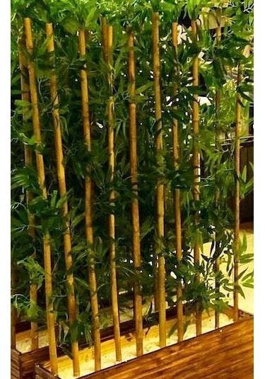 Yapay Bambu Ağaç Ağacı 1 Metre Boy Çam Ağacı Lambiri Saksıda