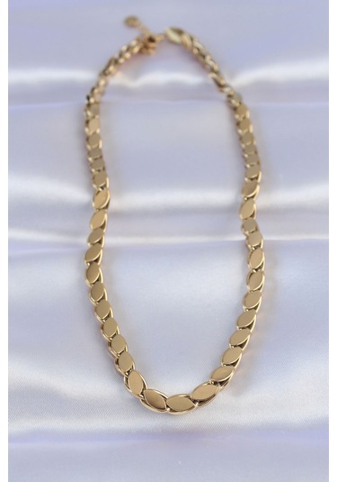 316l Çelik Gold Renk Arpa Model Kolye Renkli