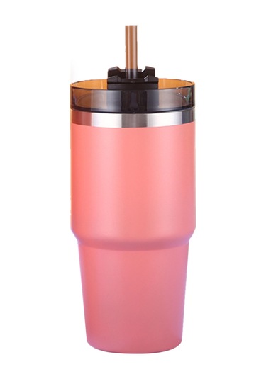 Hangfox 304 Paslanmaz Çelik Isı Saklama Bardak, 20oz, Pipetli Kapaklı, 6-12 Saat Sıcak/soğuk Tutar, Araçta/kahve/sokak Kullanıma Uygun