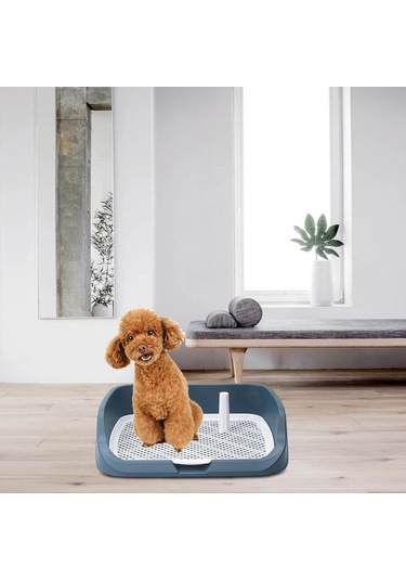 Homyl Yıkanabilir Pet Eğitim Tuvalet Tepsisi Açık-mavi