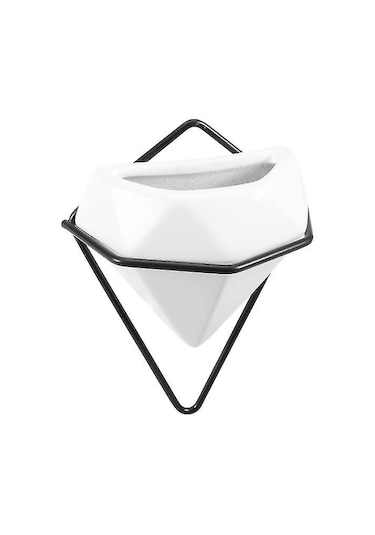 1 Adet Duvara Asılan Etli Saksı