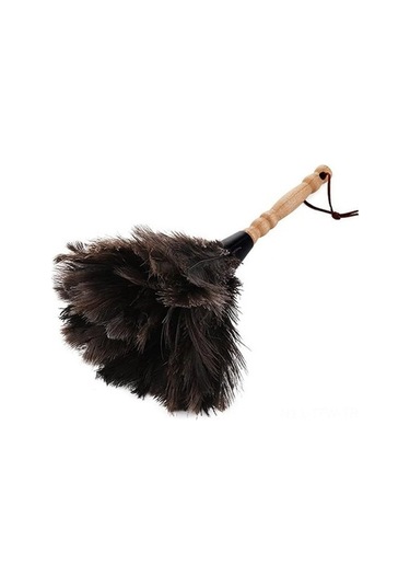Besthome1 Doğal Devekuşu Tüyü Toz Alma Fırça, Ahşap Sap, İç-dış Temizlik, Pratik Yardımcı