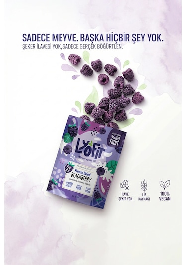 Lyofit Food Freeze Dried Böğürtlen 15 G