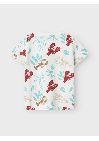 Name It Nmmfelen Ss Top Erkek Çocuk T-shirt 13241293 Cloud Dancer