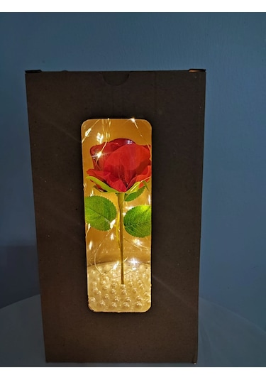 Tek Kırmızı Gül İşıklı Fanus