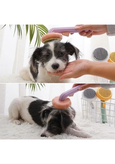 Büro Ev Evcil Hayvanı İçin Yeşil Plastik Çok Amaçlı Kedi Köpek Fırçası