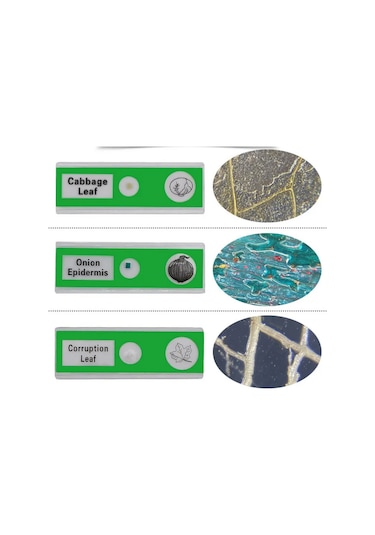 Ece Mikroskop Slayt Preparat Seti Başlangıç 12'li Bitkiler