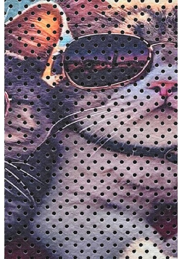 Kar Mat Kedi Tuvaleti Paspası Delikli Kedi Kumu Paspası Gözlüklü