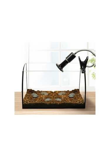 Symbee Sürüngen Evcil Hayvanları İçin Seramik Isıtıcı Lambası - Işık Yok, Hızlı Ve Eşit Isı, 200w, Patlama Direnci Diğer