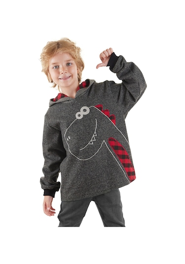 Denokids Dino Erkek Çocuk Kapüşonlu Sweatshirt Gri