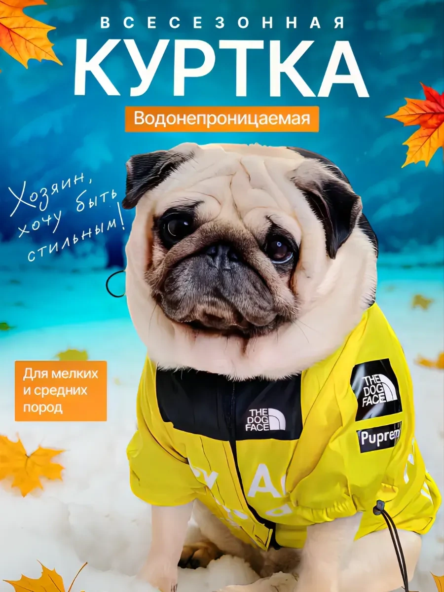 Doggo Küçük Ve Orta Boy Köpekler İçin Tulum 263893534