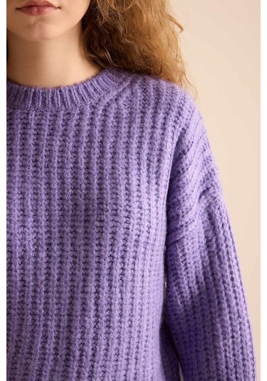 DeFacto Coool Oversize Geniş Kalıp Bisiklet Yaka Triko Kazak V1811AZNSPR262 Mor