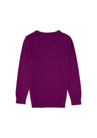 U.s. Polo Assn. Kız Çocuk Menekşe Kazak /triko 50316808-vr037 Menekse