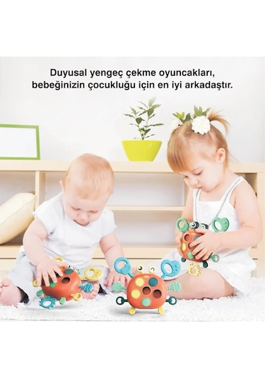 Yengeç Şekilli Montessori Duyusal Gözlem Beceri Geliştirme Eğitic